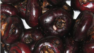 Castagne dacqua lo snack che protegge fegato e cervello cosa sono e come si mangiano