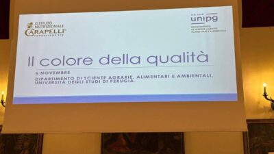 Olio Inc Nuove evidenze scientifiche per preservare qualita evo in bottiglia