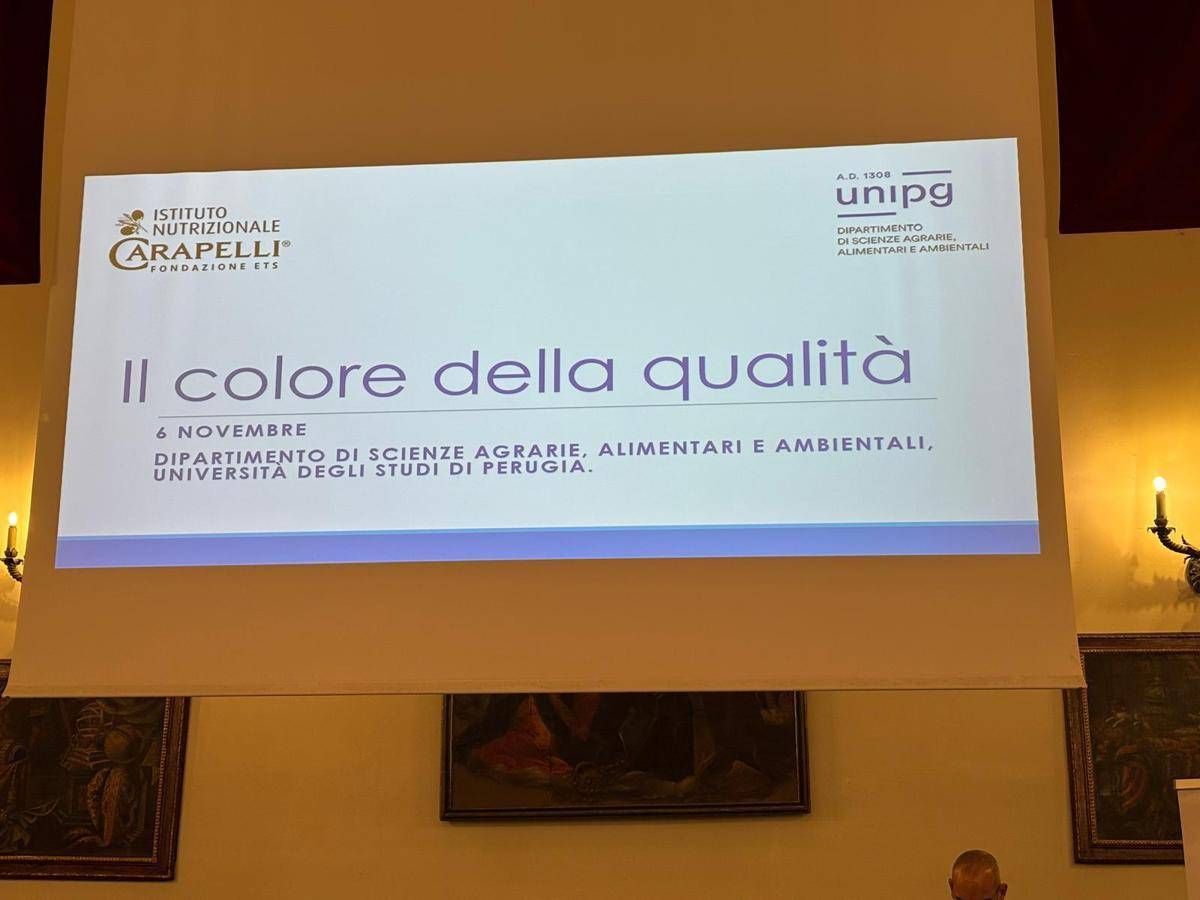 Olio Inc Nuove evidenze scientifiche per preservare qualita evo in bottiglia