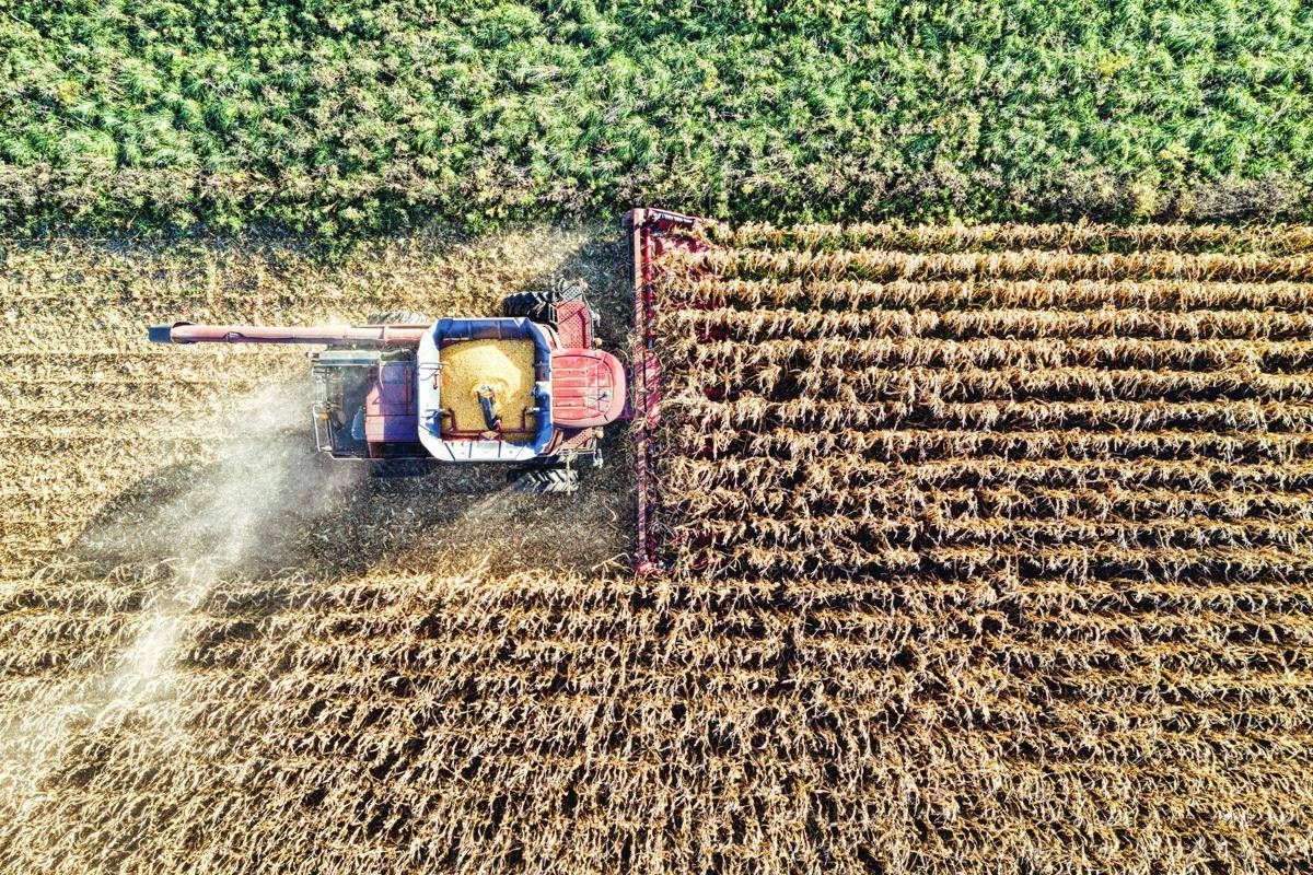 Osservatorio Agrofarma Italia modello di eccellenza per uso agrofarmaci