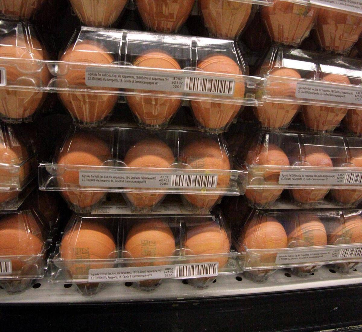 Quanti errori in cucina dal frigo alligiene il decalogo dellIss per pasti sicuri