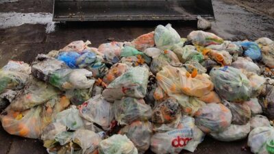 Rifiuti Cic Legambiente alleanza strategica per potenziare il riciclo organico