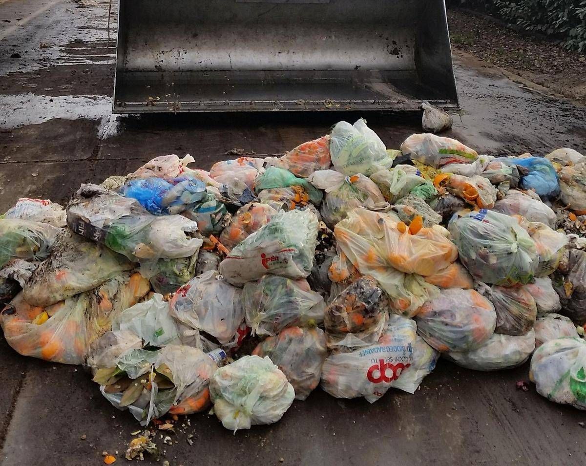 Rifiuti Cic Legambiente alleanza strategica per potenziare il riciclo organico