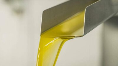 Rifiuti RenOils la raccolta degli oli esausti cresciuta del 24 nel 2024