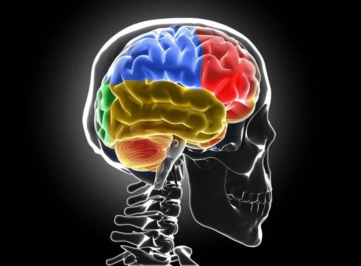 Sclerosi multipla Bandiera Aism Caregiver fondamentali ma ancora invisibili