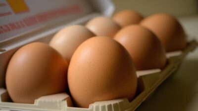 Uova biologiche o allevate a terra ecco i consigli per orientarsi tra etichette